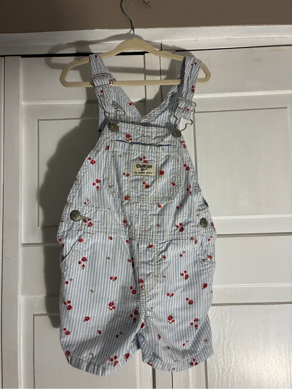 OshKosh B'gosh Light Blue & White Stripe Overalls with Red Floral Print